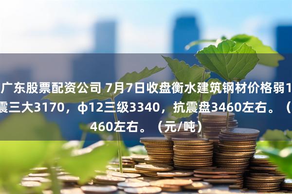 广东股票配资公司 7月7日收盘衡水建筑钢材价格弱10，抗震三大3170，φ12三级3340，抗震盘3460左右。（元/吨）